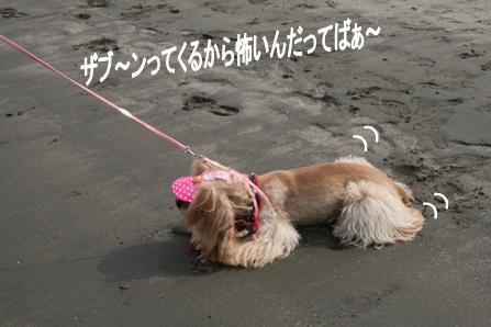c0128303_17525866.jpg
