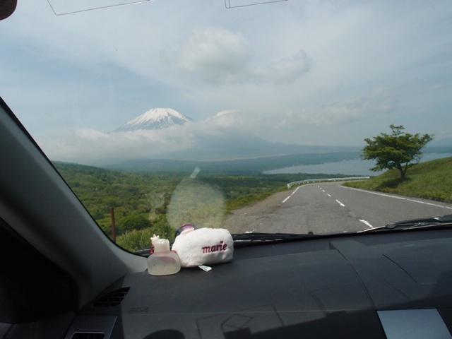 e0018604_818391.jpg