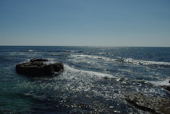 f0038904_15272174.jpg