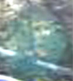 e0103408_1621542.jpg