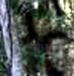 e0103408_1625987.jpg