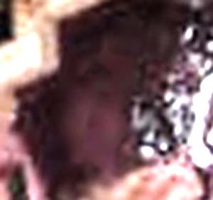 e0103408_18323564.jpg