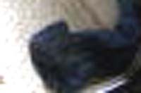 e0103408_18434553.jpg