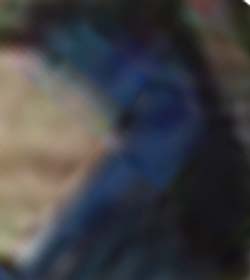 e0103408_18435832.jpg