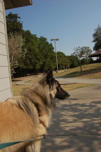 f0227709_71665.jpg