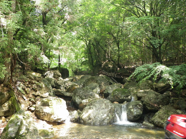 d0006512_18411127.jpg