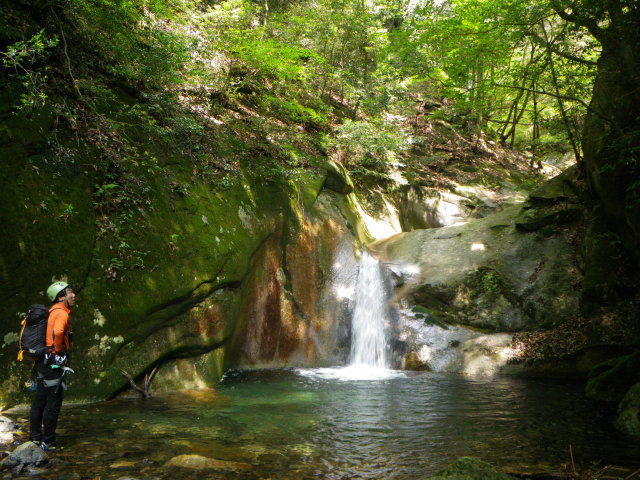 d0006512_18432077.jpg