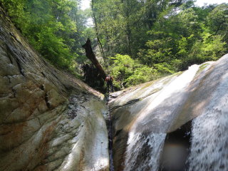 d0006512_1853712.jpg