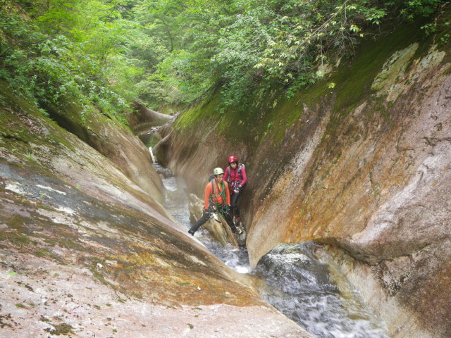 d0006512_1962952.jpg