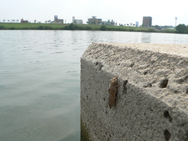 e0002314_20203961.jpg