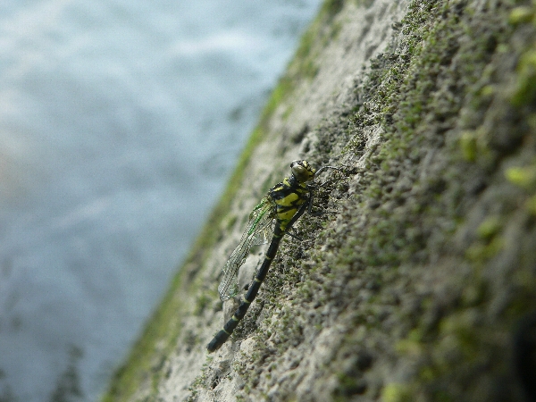 e0002314_20212189.jpg