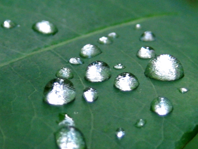 b0209919_20513292.jpg