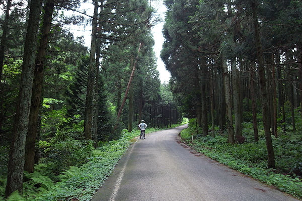f0007926_9501383.jpg