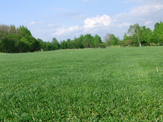 c0199829_2215218.jpg