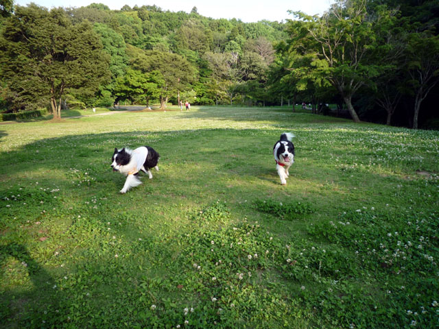 d0059230_9244313.jpg