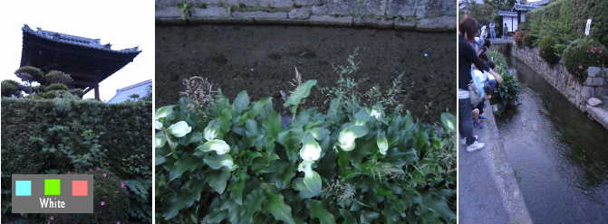c0227134_836169.jpg