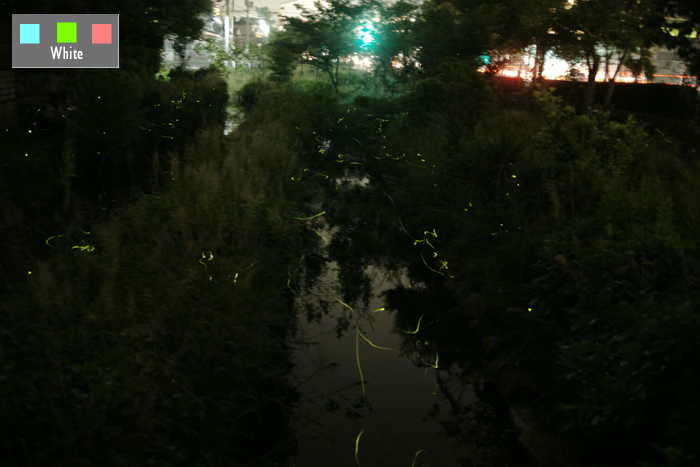 c0227134_8365711.jpg