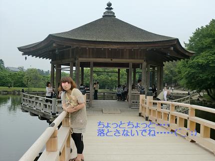 d0165735_21513199.jpg