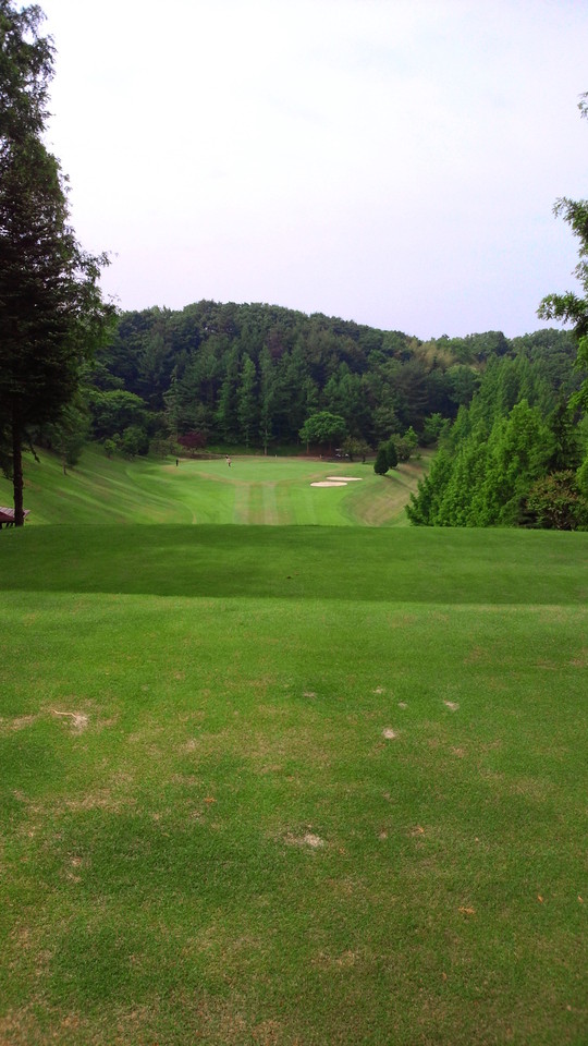 c0117936_9305841.jpg