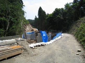 c0077338_175801.jpg