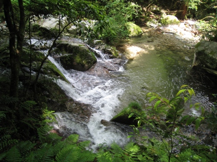 c0077338_17583699.jpg