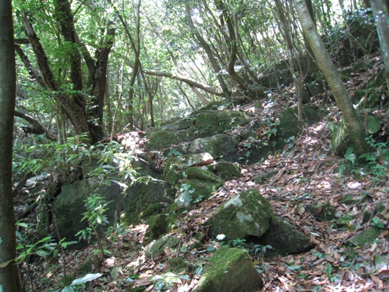 c0077338_1758553.jpg