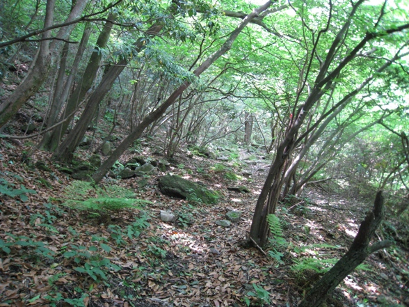 c0077338_1759235.jpg