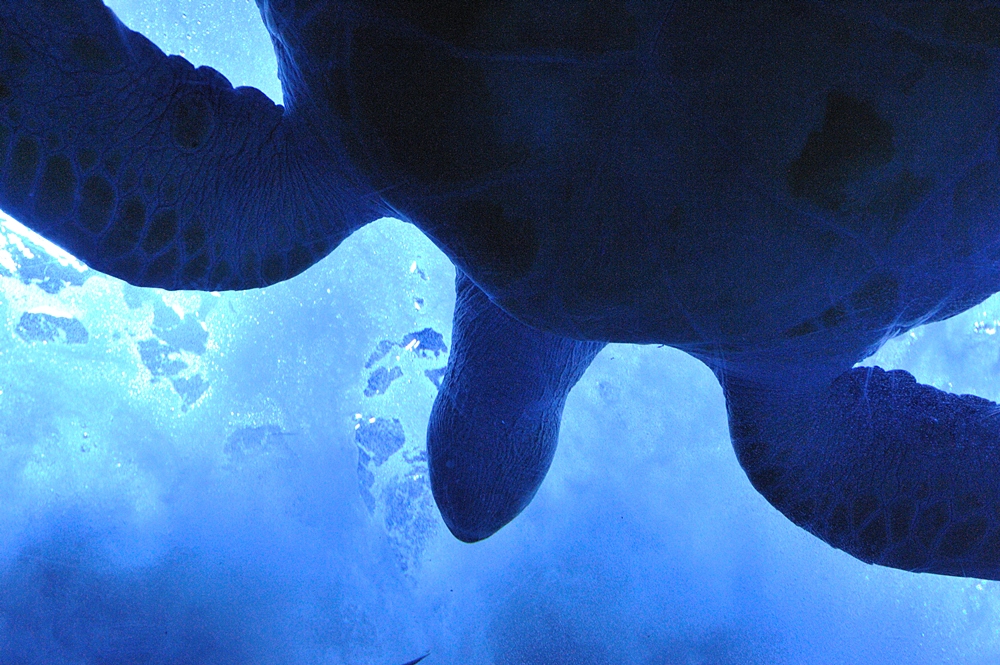 c0221838_0384486.jpg