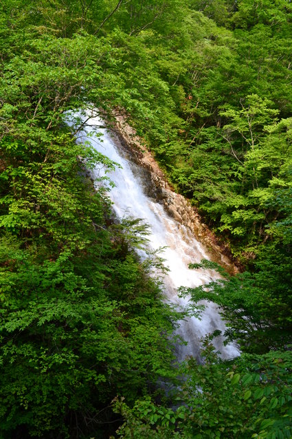 e0228938_212107.jpg