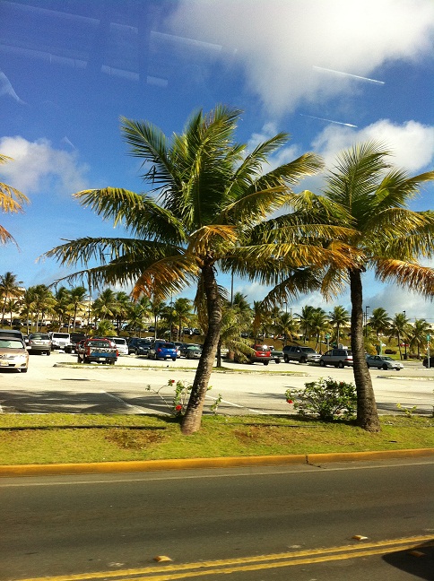 f0073639_2112775.jpg