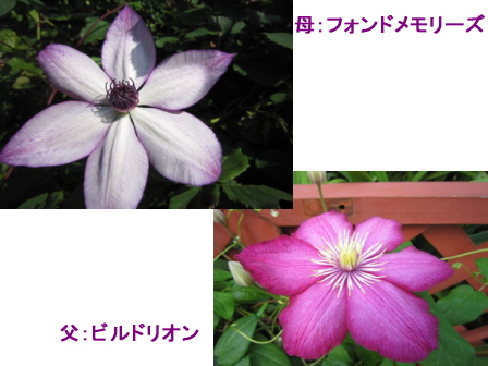 c0025140_23171851.jpg