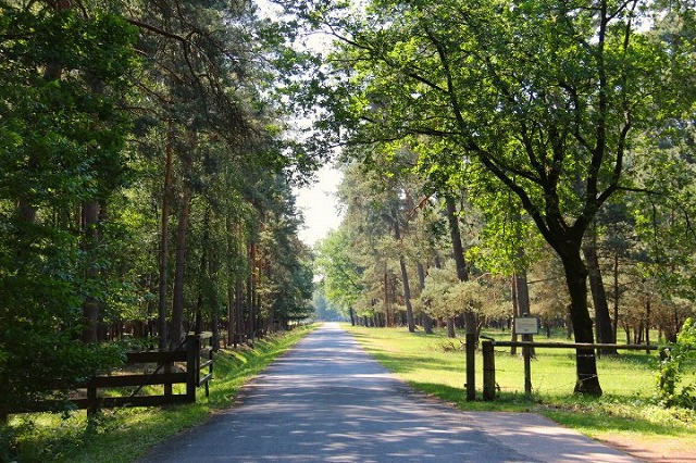 c0153740_1204466.jpg