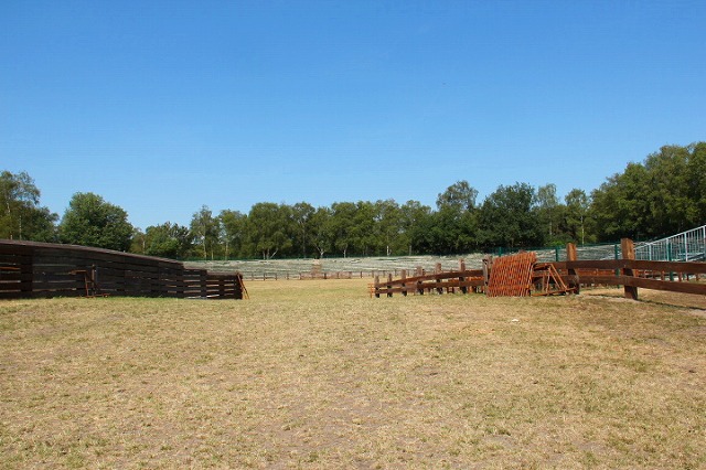 c0153740_2273044.jpg