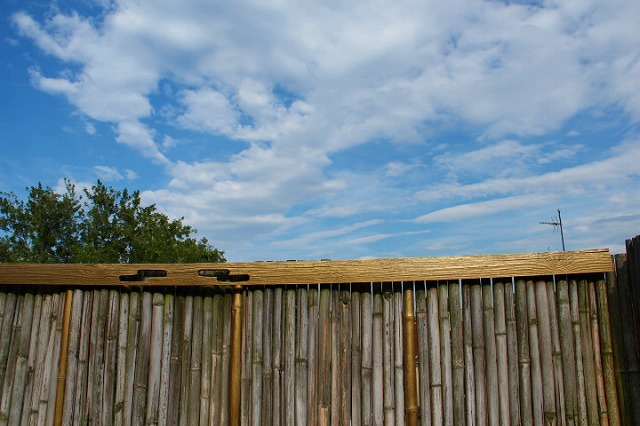 c0153740_395233.jpg