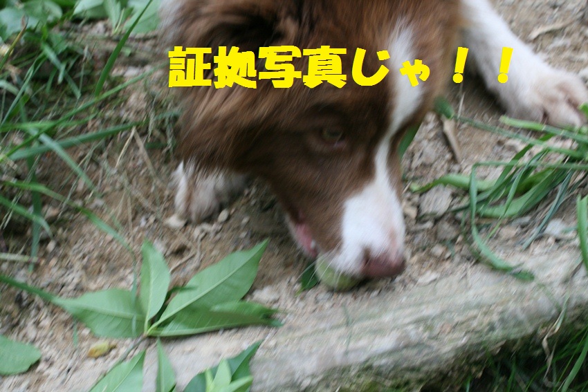 d0077740_10343675.jpg
