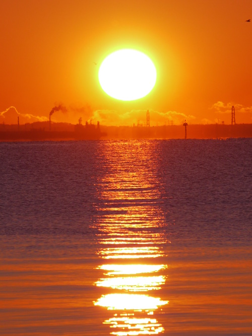 b0190242_822314.jpg
