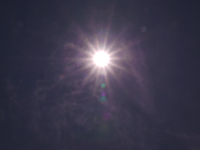 b0190242_853165.jpg