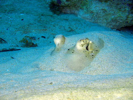f0014842_20334548.jpg