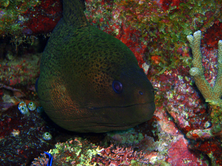 f0014842_20373088.jpg