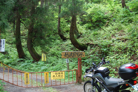 d0164443_23442427.jpg