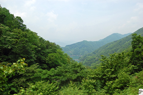 d0164443_23454844.jpg