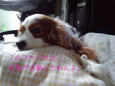 a0120944_15161.jpg