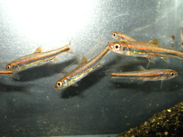 f0198950_2244139.jpg