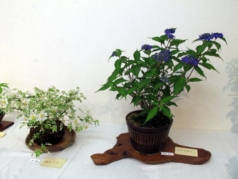 c0147952_2259501.jpg