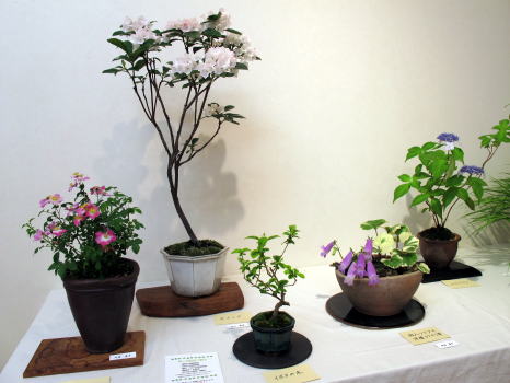 c0147952_2333717.jpg