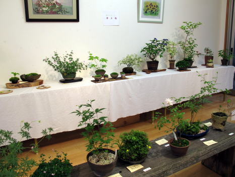 c0147952_234998.jpg