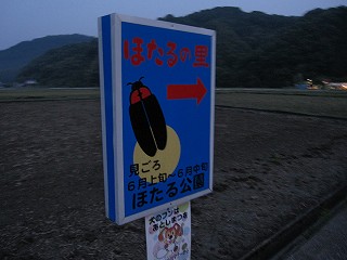 d0031853_2164129.jpg