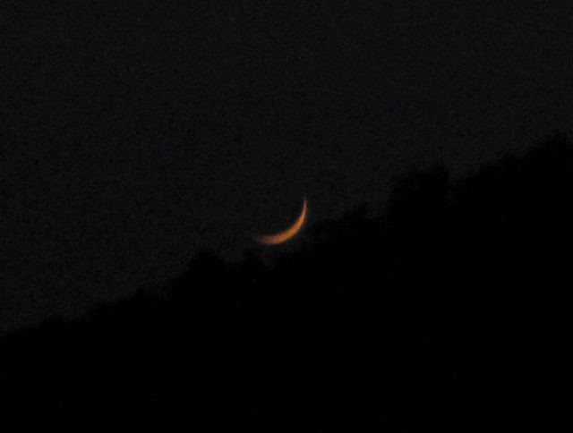 d0031853_2183999.jpg