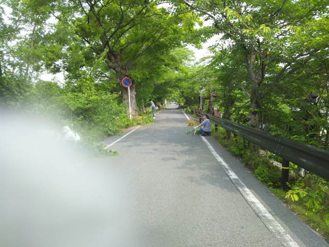 f0178153_9492418.jpg