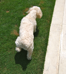 f0190653_14261615.gif